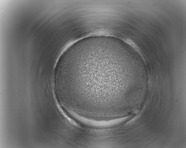 X0000066970989200604072026