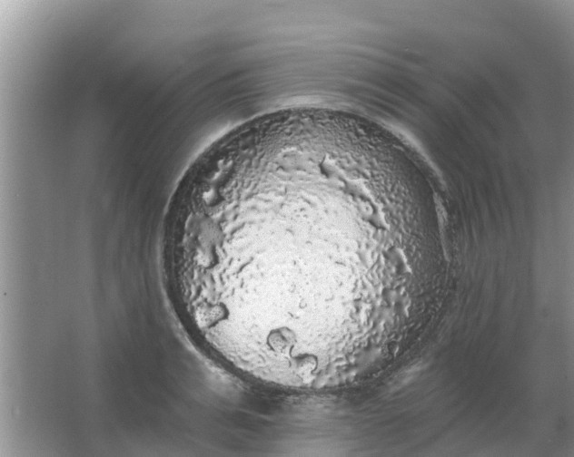 X0000066970991200604072026