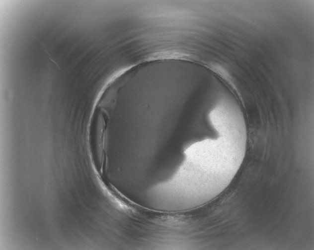 X0000066970995200604072025