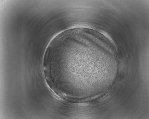 X0000066970996200604072025