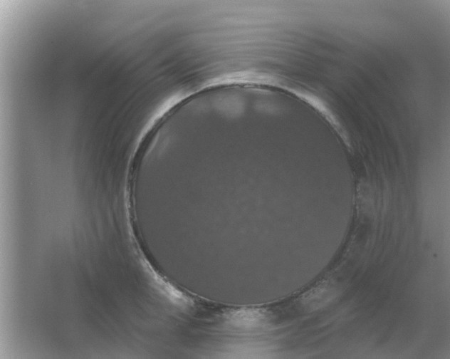 X0000066970998200604072025