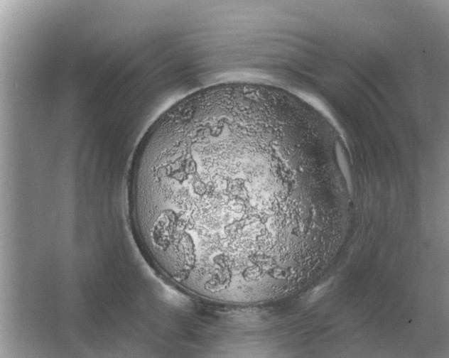 X0000066970999200604072025