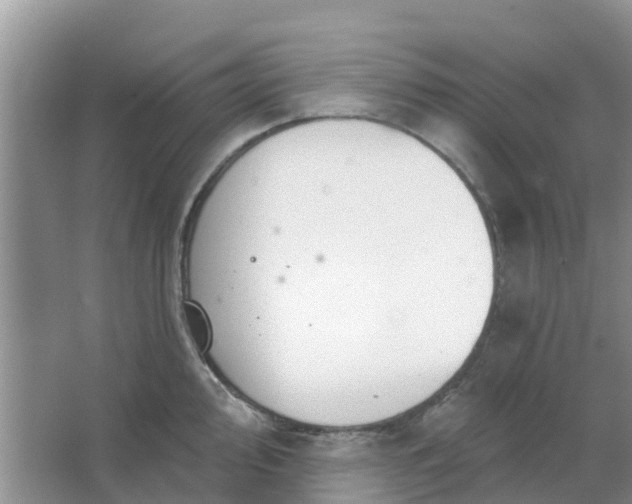 X0000066971000200604072025