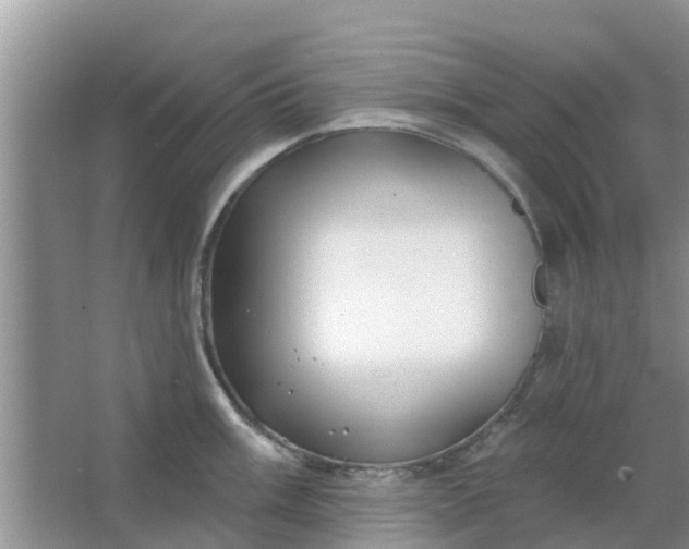 X0000066971003200604072025