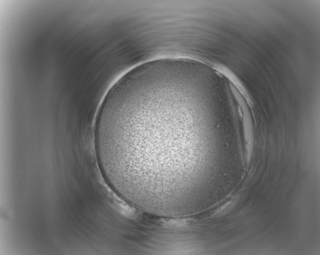 X0000066971004200604072025