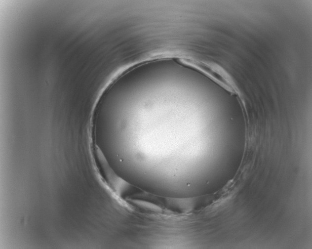 X0000066971005200604072025