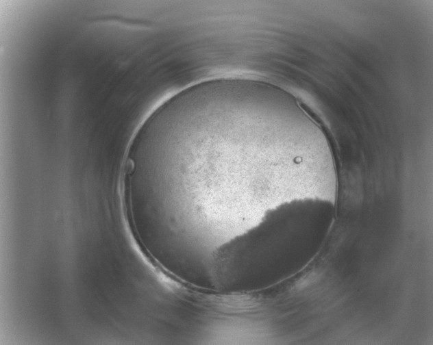 X0000066971007200604072025