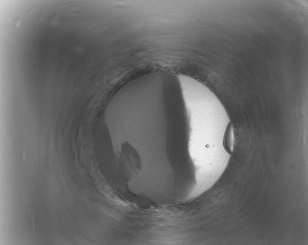 X0000066971009200604072024