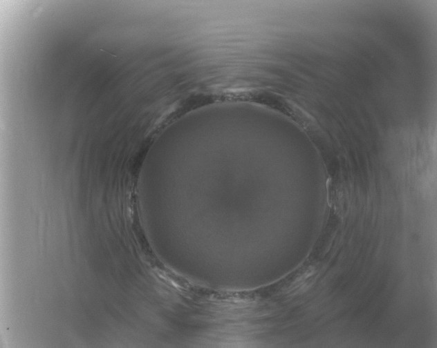 X0000066971010200604072024