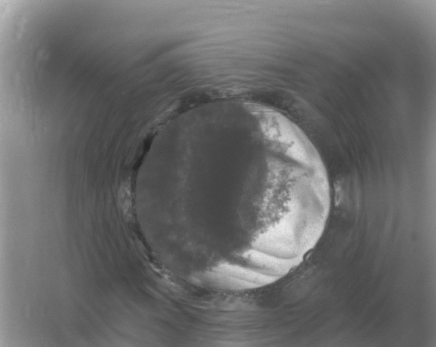 X0000066971011200604072024