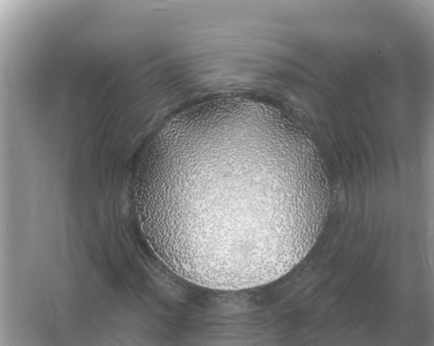 X0000066971012200604072024