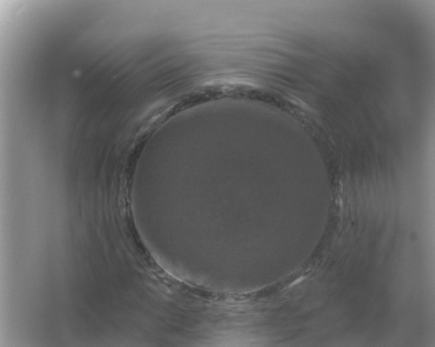 X0000066971014200604072025