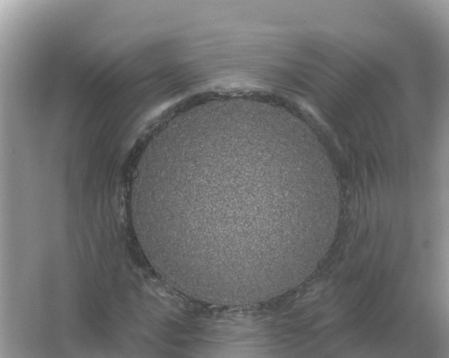 X0000066971016200604072025