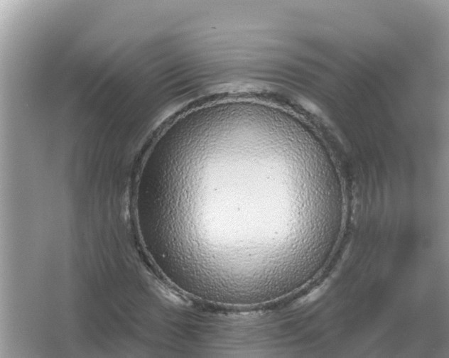 X0000066971017200604072025