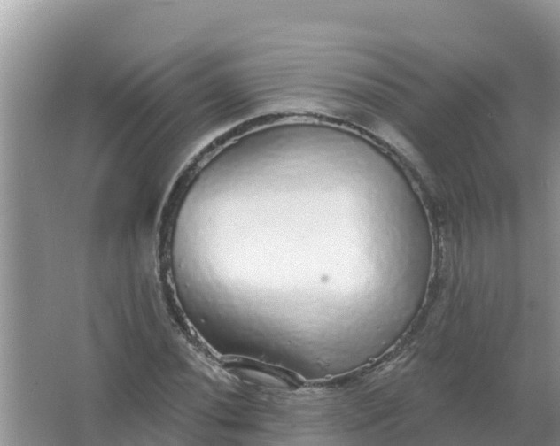 X0000066971020200604072025