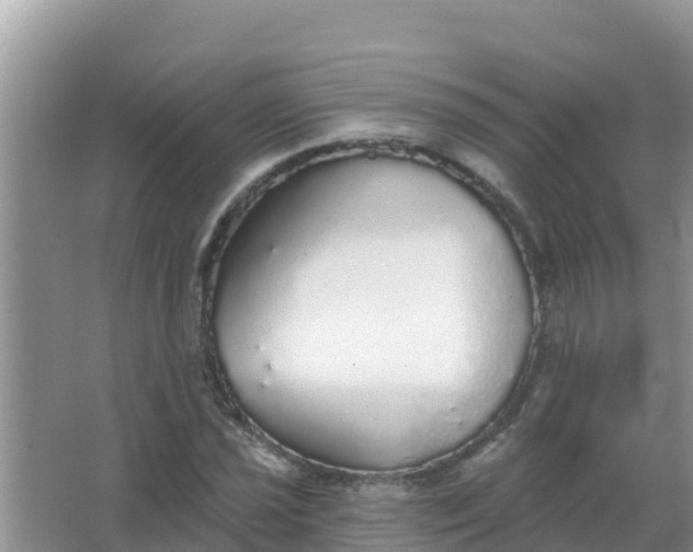 X0000066971021200604072025