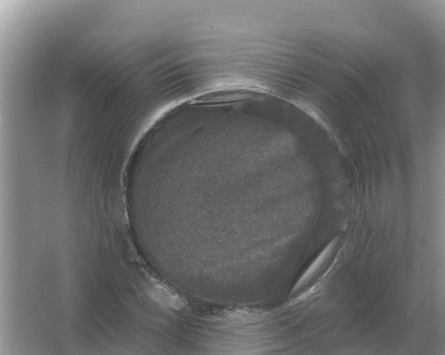 X0000066971022200604072025