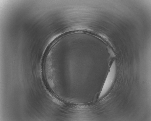 X0000066971024200604072025