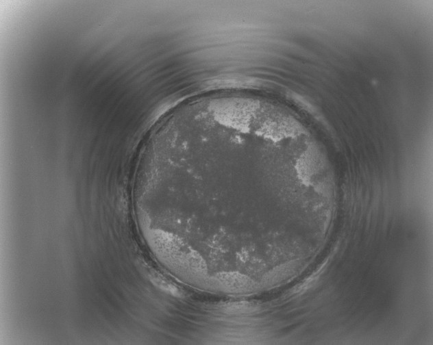 X0000066971025200604072025