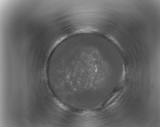 X0000066971026200604072025