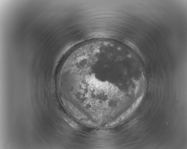 X0000066971027200604072025