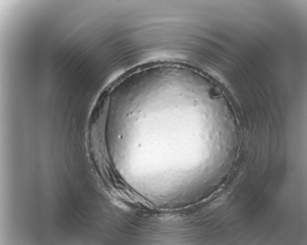 X0000066971029200604072025