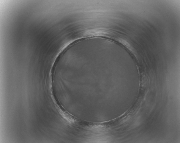 X0000066971031200604072025