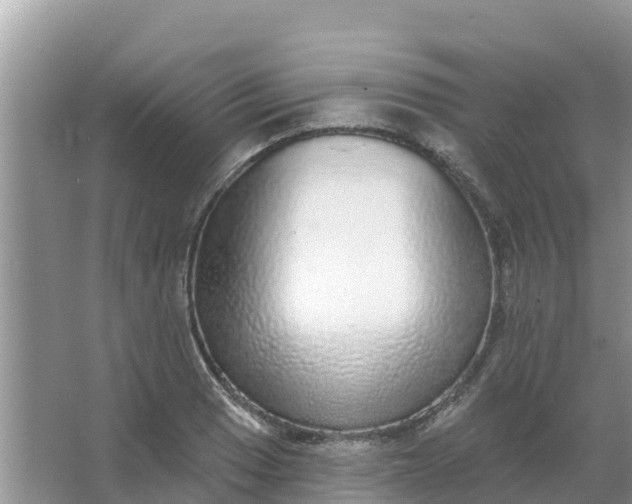 X0000066971033200604072025