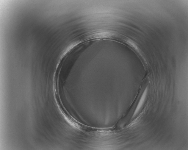 X0000066971034200604072025