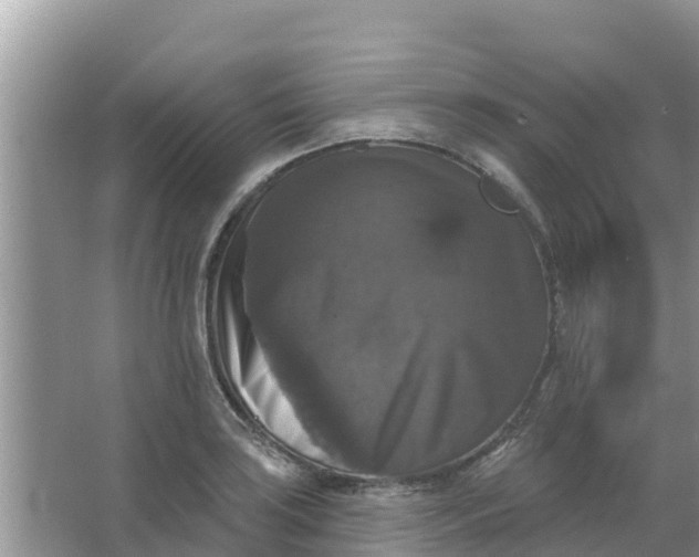 X0000066971035200604072025