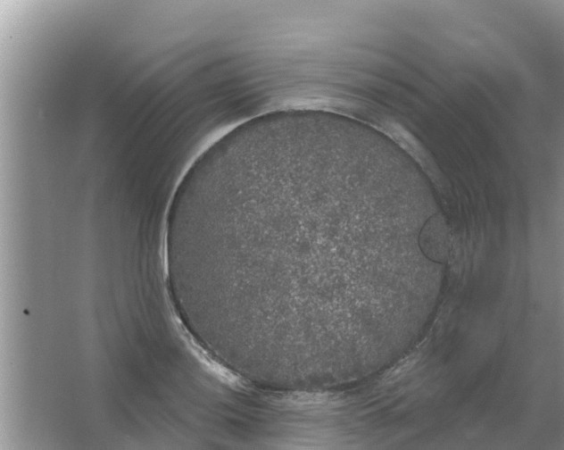 X0000066971036200604072025