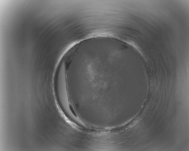 X0000066971038200604072025