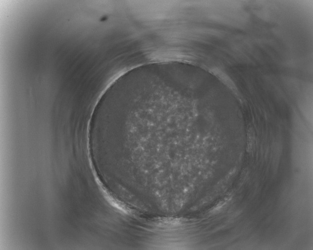 X0000066971039200604072025