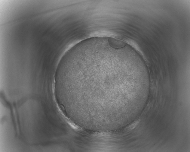 X0000066971040200604072025