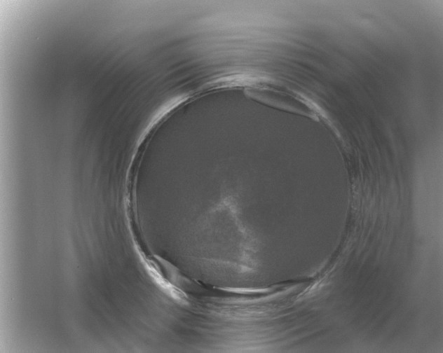 X0000066971042200604072025