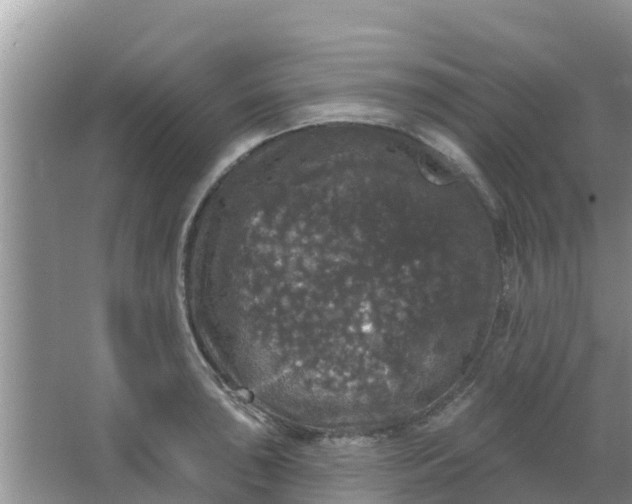 X0000066971043200604072025