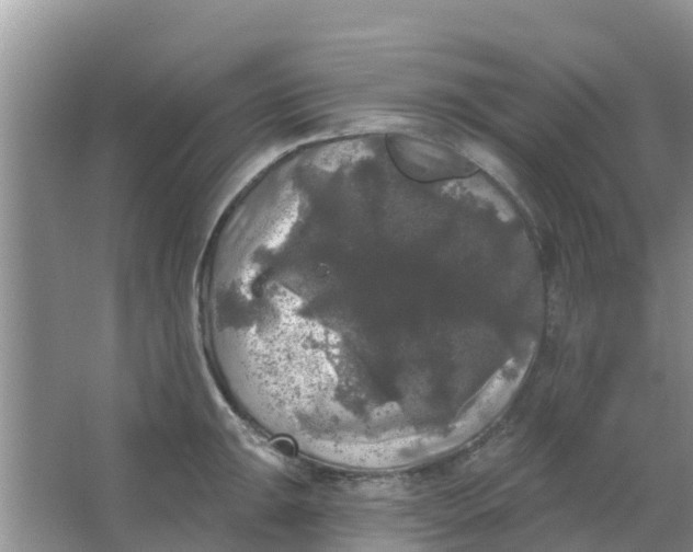 X0000066971047200604072025