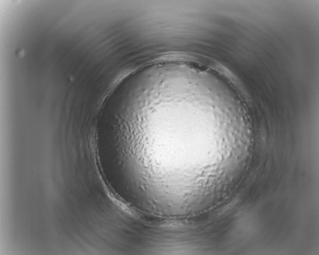 X0000066971049200604072025