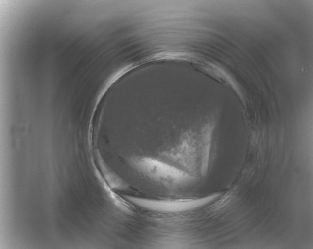 X0000066971050200604072025