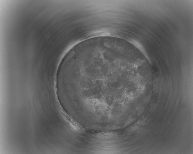 X0000066971051200604072025