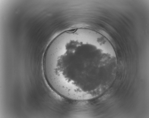 X0000066971055200604072025