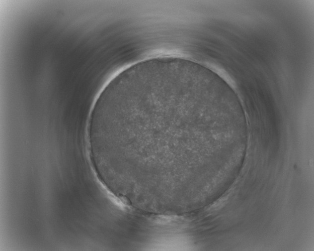 X0000066971056200604072025