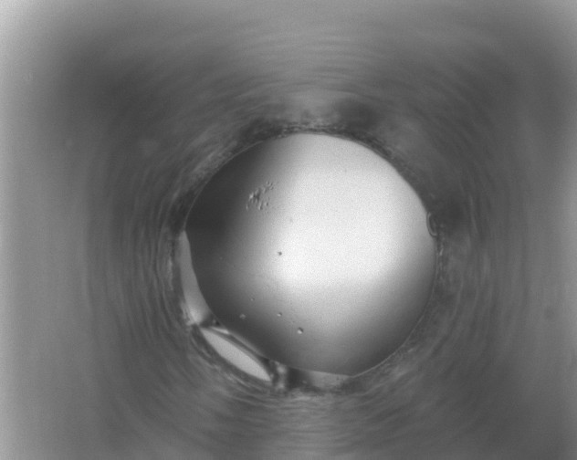 X0000066971058200604072024