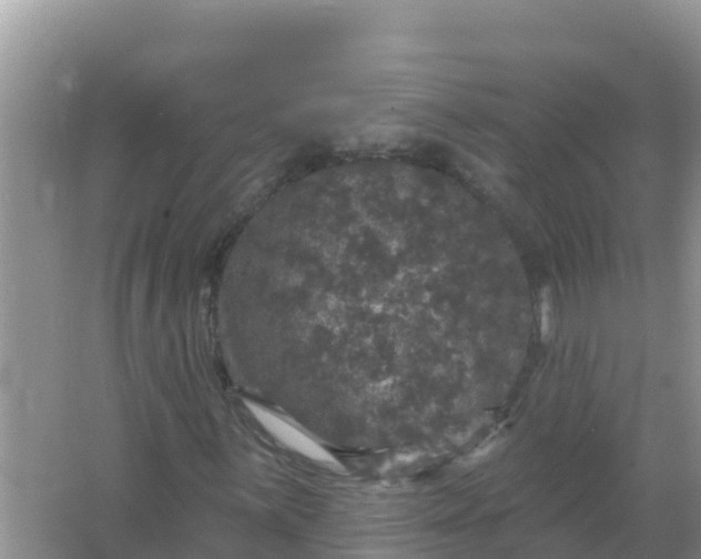 X0000066971059200604072024