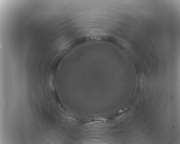 X0000066971060200604072024