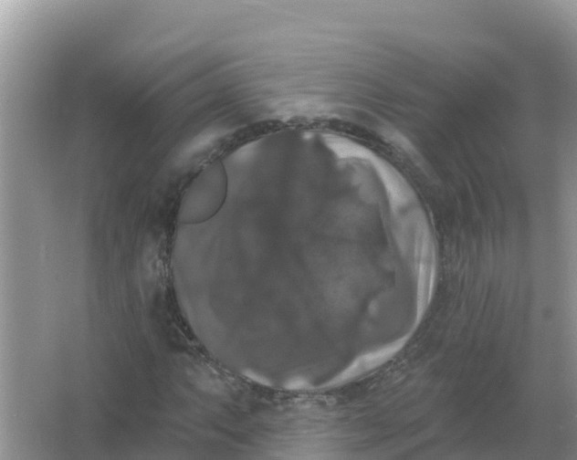 X0000066971063200604072024