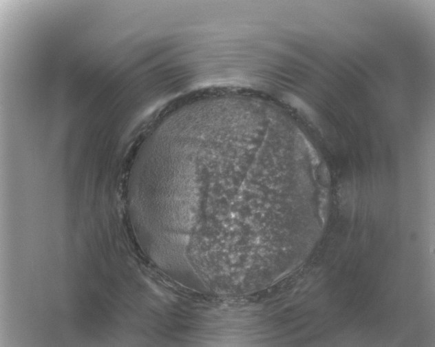 X0000066971064200604072024