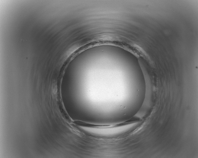 X0000066971065200604072024