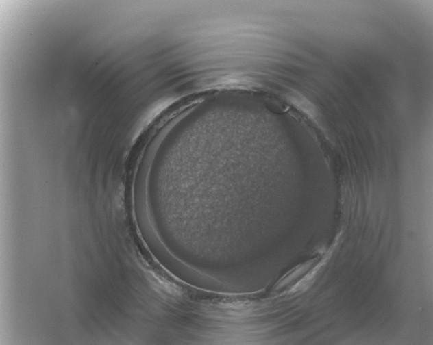 X0000066971066200604072024