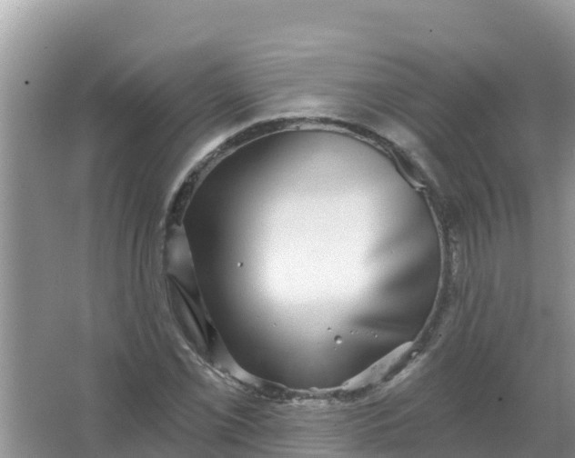 X0000066971069200604072024